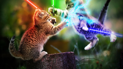 Cats lightsabers