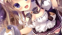 Cats long hair anime girls blue eyes waitress brunettes 