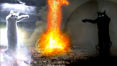 Cats Longcat Tacgnol