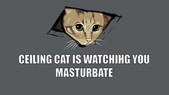 Cats masturbation meme Ceiling