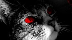 Cats moon red eyes