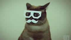 Cats mustache dubstep Stereo Skifcha