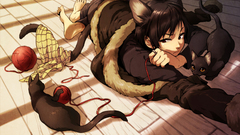 Cats nekomimi durarara orihara