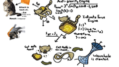 Cats physics mathematics