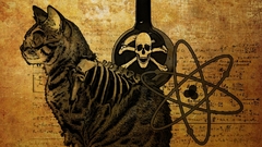 Cats Science Wanted funny posters Schrödinger