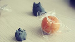 Cats sitting grey whiskers