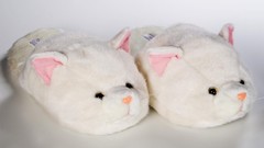 Cats slippers