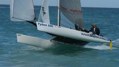 Cats small are designed recomp