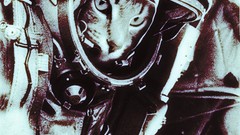 Cats USSR astronauts funny cosmonaut Yuri Gagarin outer space 