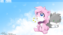 Cats VG Cats Kittens