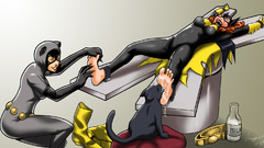 Catwoman Batgirl