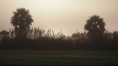 Celebrity Min us Size