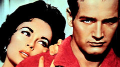 Celebrity paul newman