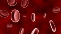 Cell blood erythrocyte dual