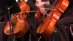 Cellos bump content high