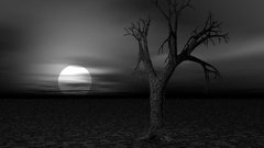 Cena soturna Manga Anime