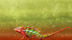 Chameleons artwork Reptiles