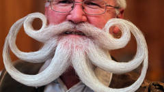 Champions beard German