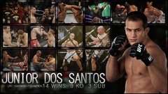 Champions mma ufc junior dos santos