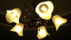 Chandelier light bulbs