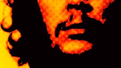 Che Guevara Celebrity