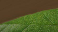 Cheated and it sucks