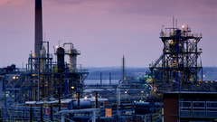 Chemical Plant high flower