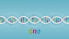 Chemistry mathematics DNA