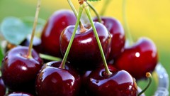 Cherries fruits crop sweet cherry