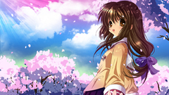 Cherry blossoms Clannad Ibuki