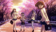 Cherry blossoms Clannad sakagami