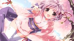 Cherry blossoms Japanese clothes