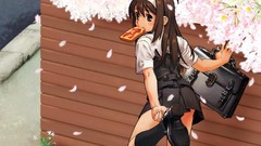 Cherry blossoms school uniforms