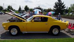 Chevrolet camaro cars grass