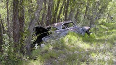 Chevrolet vehicles Franklin old