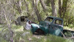 Chevrolet vehicles Franklin old