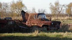 Chevrolet vehicles Franklin old