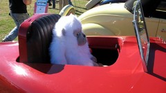 Chevrolet vehicles Franklin old