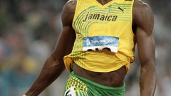 Chicken etc. high bird