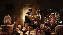 Children Birds cage playing doors roosters