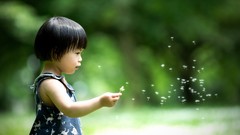 Children dandelions bokeh blurred asians straight hair