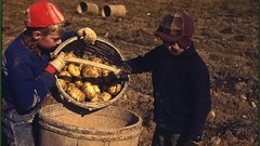 Children retro vintage USA colored potatoes 1940