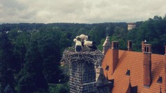 Chimney latvia Starks Cesvaines Castle