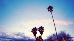 China shot nba vectors screenshots lomography girlycard NBA 