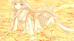 Chobits chii