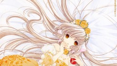 Chobits chii