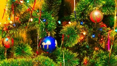 Christmas christmas tree Christmas Lights Christmas ornament