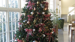 Christmas Christmas trees