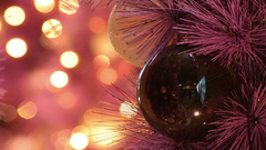 Christmas day merry make