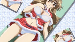Christmas nogizaka haruka no himitsu underwear panties Santa 